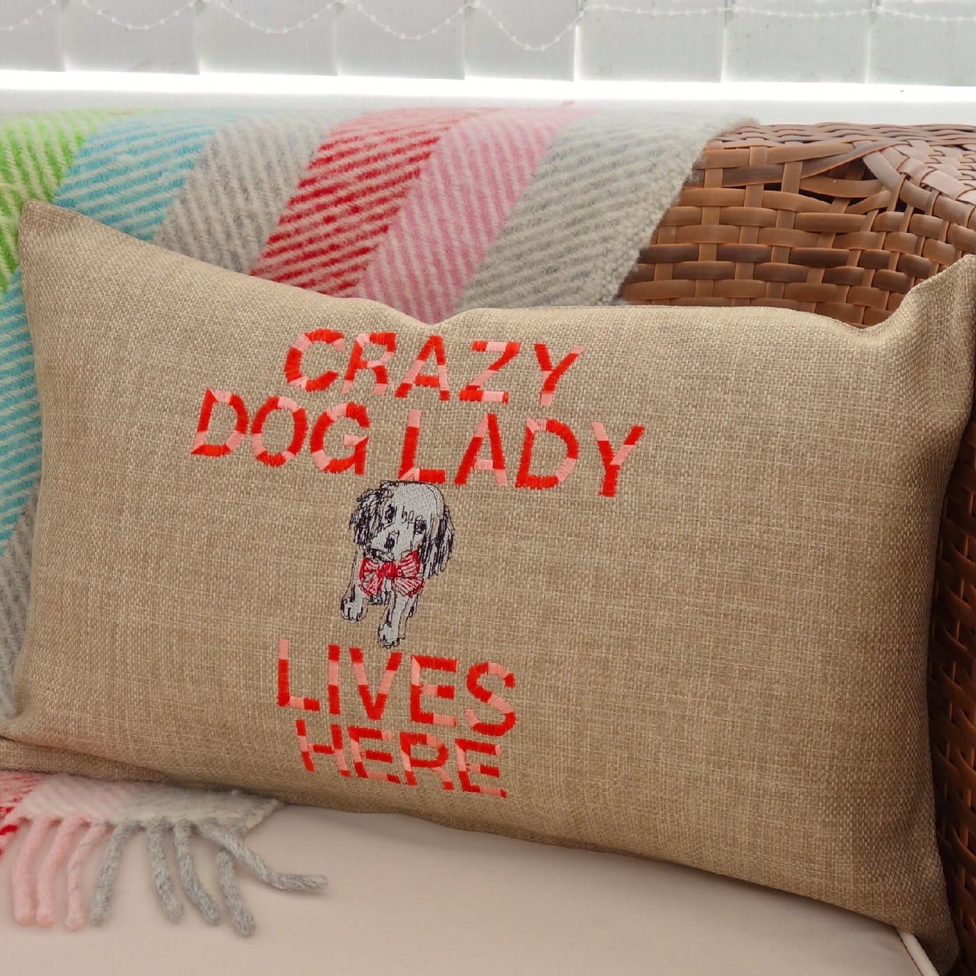 Hearts & Paris: Appliqué Feature Scatter Cushion 46x30cm